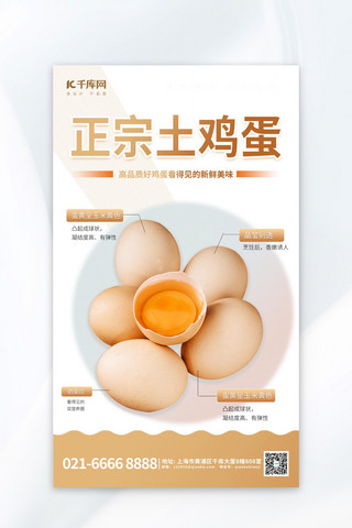 农产品海报海报模板_大气正宗土鸡蛋元素暖色渐变海报