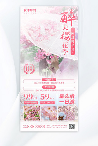 赏樱季旅游樱花粉色中国风海报