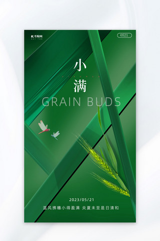 绿色麦穗海报模板_小满麦穗 蜻蜓绿色玻璃海报