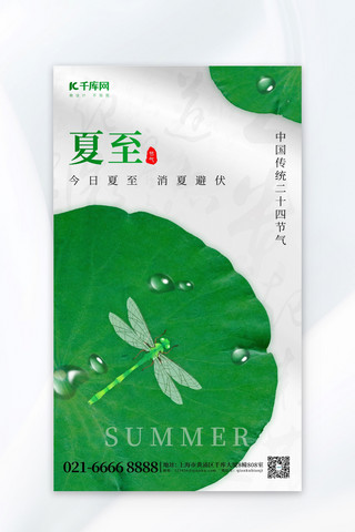 二十四节气夏至荷叶白色简约海报