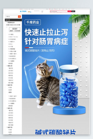 猫宠物用品海报模板_宠物用品宠物止泻药蓝色简约详情页