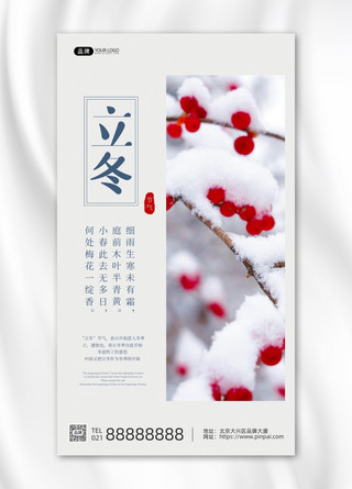 立冬节气下雪树枝红果子摄影图海报