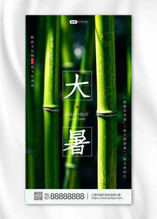 大暑节气竹子竹林影子阳光摄影图海报