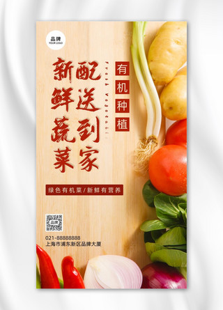 有机蔬菜配送辣椒洋葱青菜摄影图海报