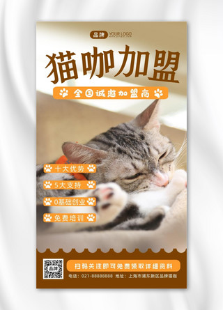 猫咖加盟可爱猫咪摄影图海报