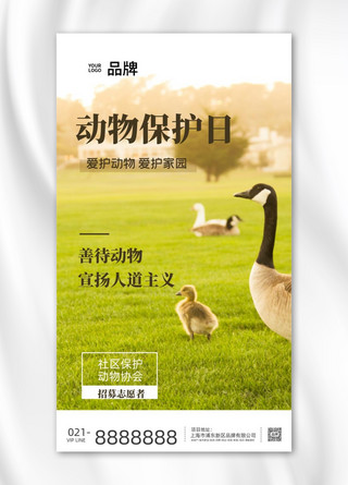 保护动物草坪于鸭子海报