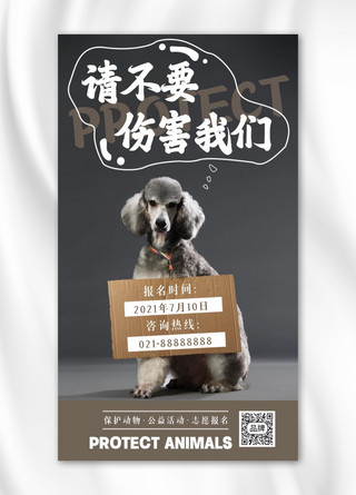 关爱动物公益海报海报模板_保护动物公益环保摄影图海报