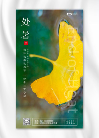 处暑节气黄色枫叶落在水里摄影图海报