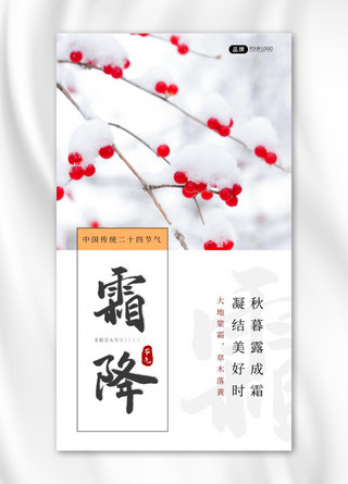 霜降节气冬季雪景树枝果子摄影图海报