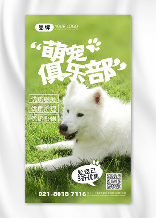 小狗生气海报模板_宠物狗粮小狗摄影图海报