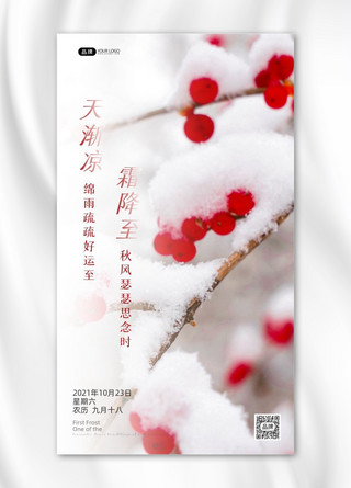 霜降节气冬季雪景树枝果子摄影图海报