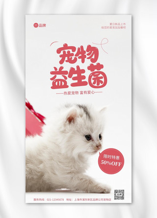 宠物益生菌白色猫咪背景摄影图海报