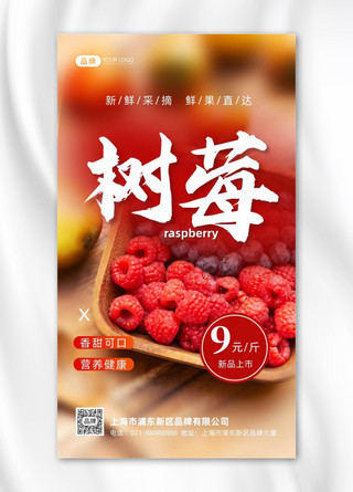 当季水果海报模板_树莓水果新品上市摄影图海报