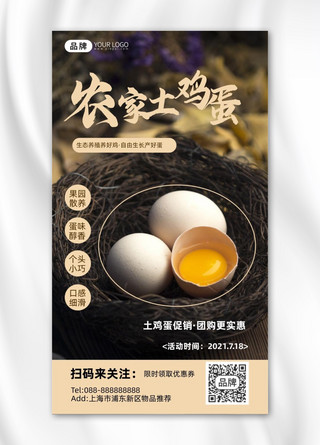 农家鸡蛋图海报模板_摄影风格农家土鸡蛋促销宣传摄影图海报