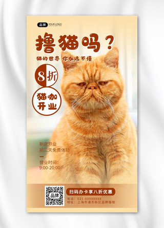 猫咖开业可爱猫咪摄影图海报