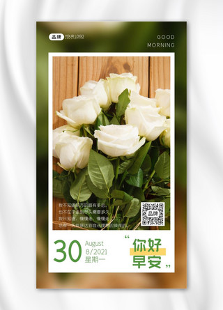 早安问候白玫瑰鲜花摄影图海报