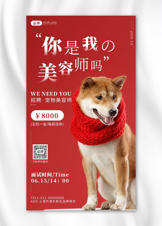 面试背景海报模板_宠物美容师招聘可爱柴犬摄影图海报