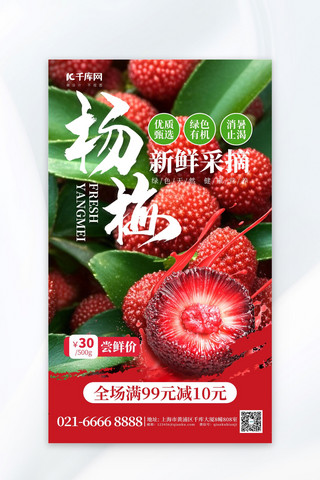 夏季水果促销海报模板_水果促销杨梅红色创意海报