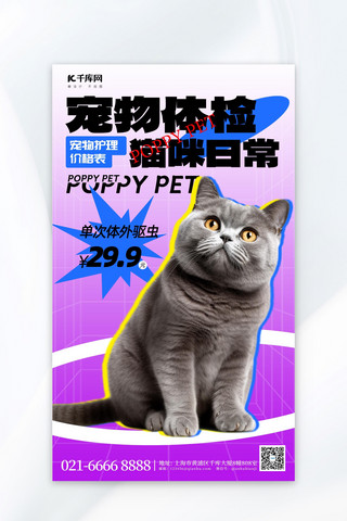 宠物体检猫咪紫色简约促销广告营销海报