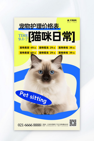 护理海报模板_宠物护理猫咪蓝色简约促销广告营销海报