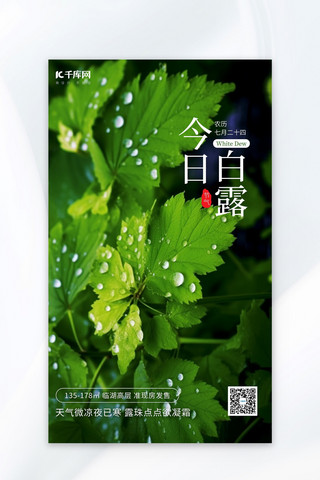 露水海报模板_白露节气树叶露水绿色简约AI海报