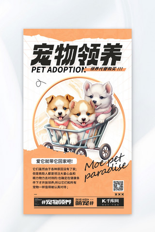 宠物领养AIGC模板橙色简约广告宣传海报