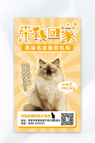 宠物猫橙色卡通广告营销海报