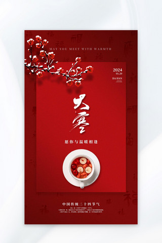 传统二十四节气大寒暖红色中国风海报