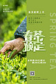 春茶预定绿色清新海报
