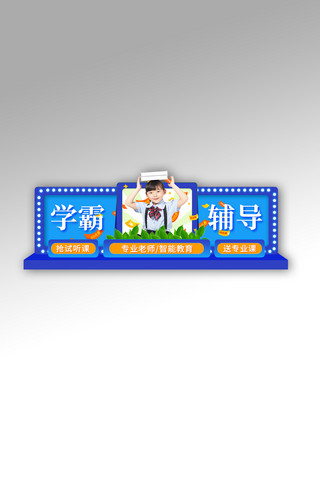 教育培训辅导班招生蓝色电商胶囊图banner