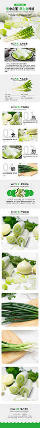 蔬菜生态种植大葱绿色清新风电商详情页
