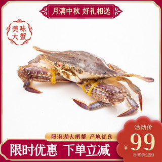 中秋节螃蟹活动红色简约主图