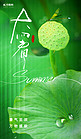 大暑节气莲蓬荷叶绿色摄影风海报