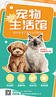 宠物生活馆AIGC模板橙色绿色简约广告营销海报