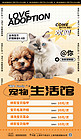 宠物生活馆AIGC模板橙色黄色简约广告宣传海报