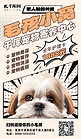 宠物宠物狗咖啡色漫画广告宣传海报