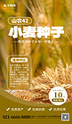 农作物种业促销小麦种子黄褐色AIGC海报