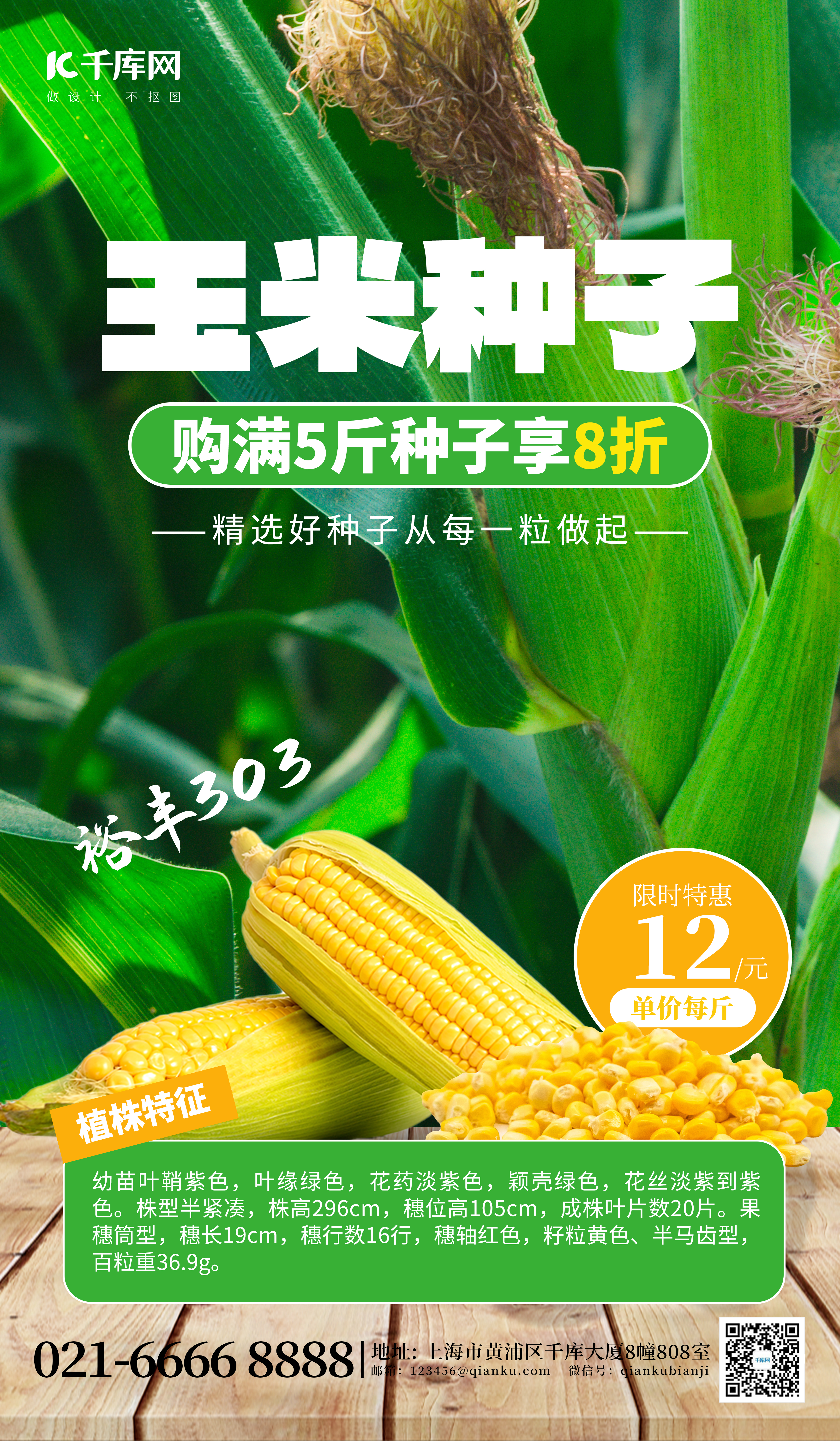 农业促销玉米种子绿色农业海报图片
