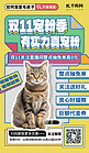 萌宠潮玩猫黄漫画海报