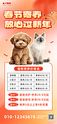 春节宠物寄养宠物红色弥散光全屏海报手机海报素材