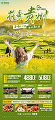 贵州油菜花旅游绿色简约手机海报ps海报制作