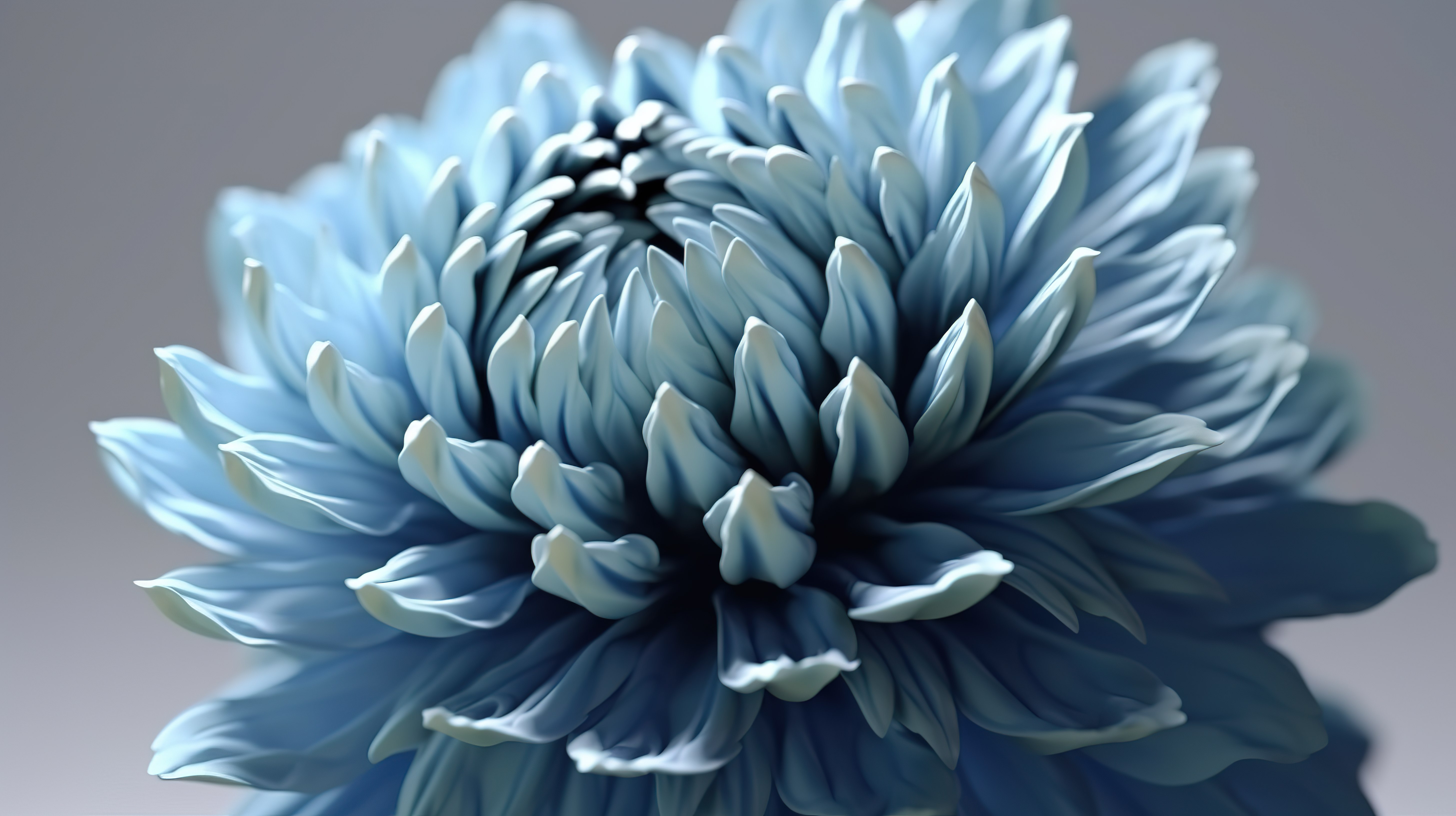 蓝色牡丹或菊花令人惊叹的盛开花朵的特写 3D 插图图片