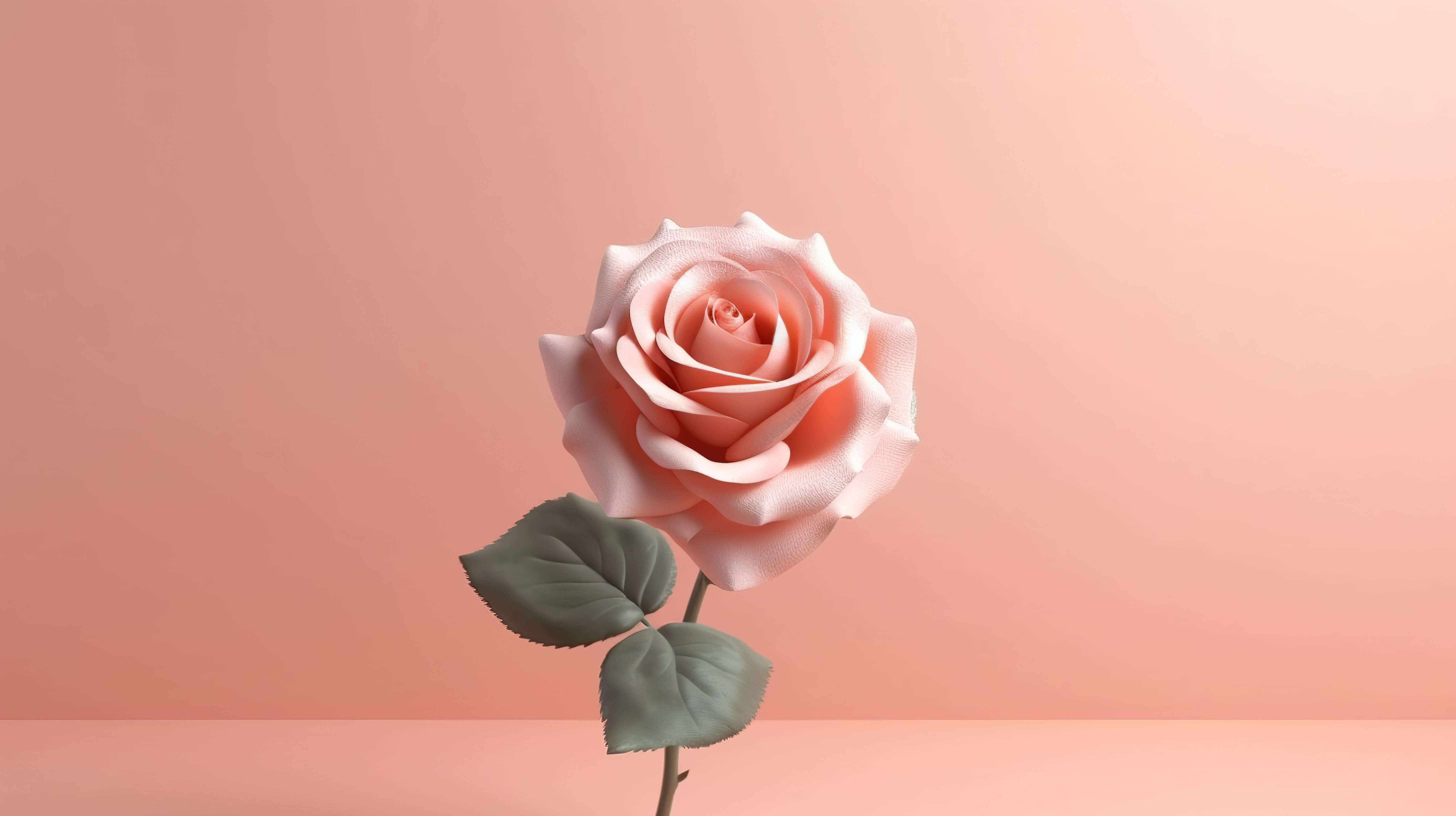 粉红色背景模型与精美渲染的玫瑰图片