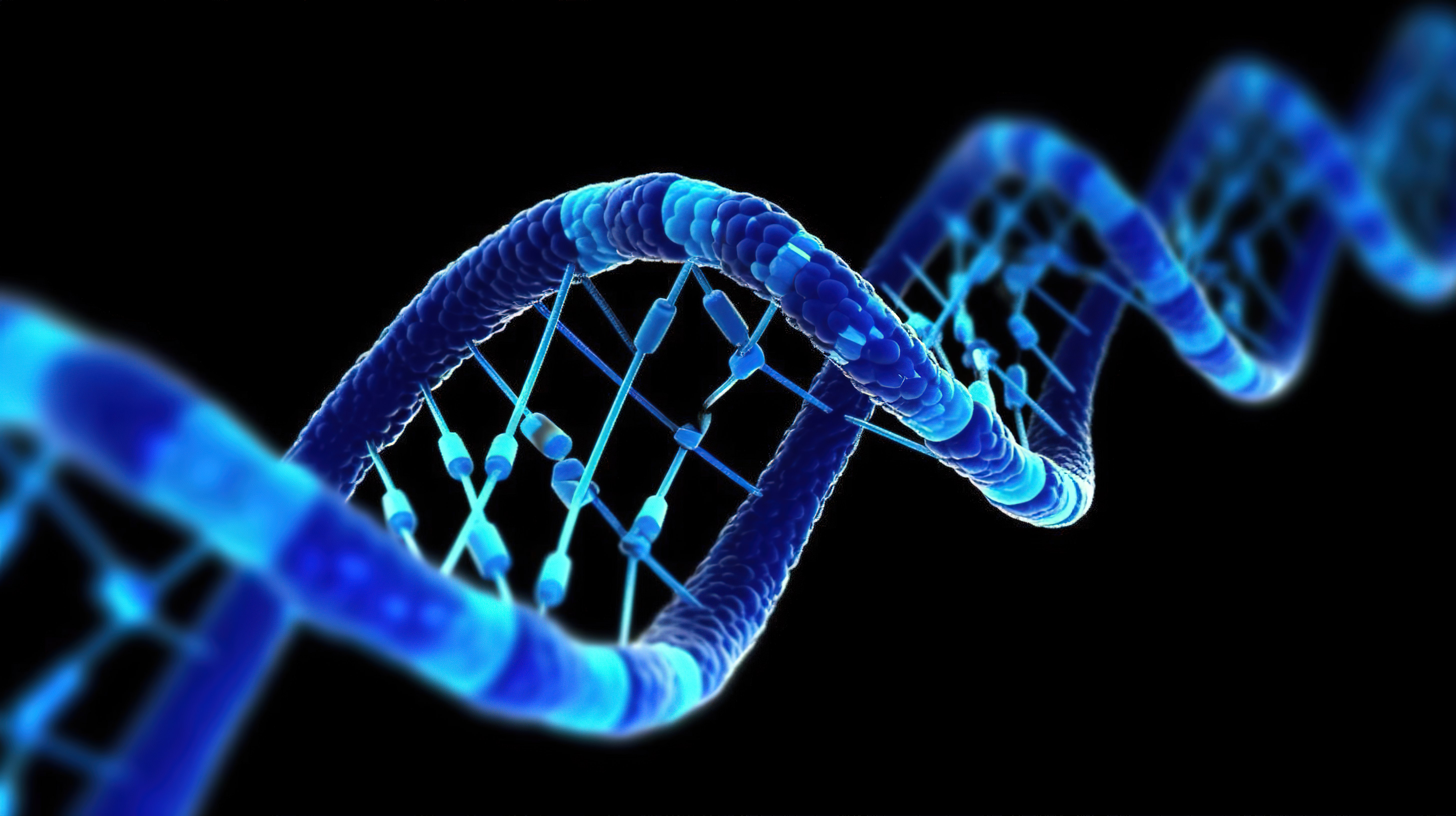 蓝色 dna 螺旋染色体在黑色背景科学和医学概念上进行遗传学修饰的 3d 插图图片