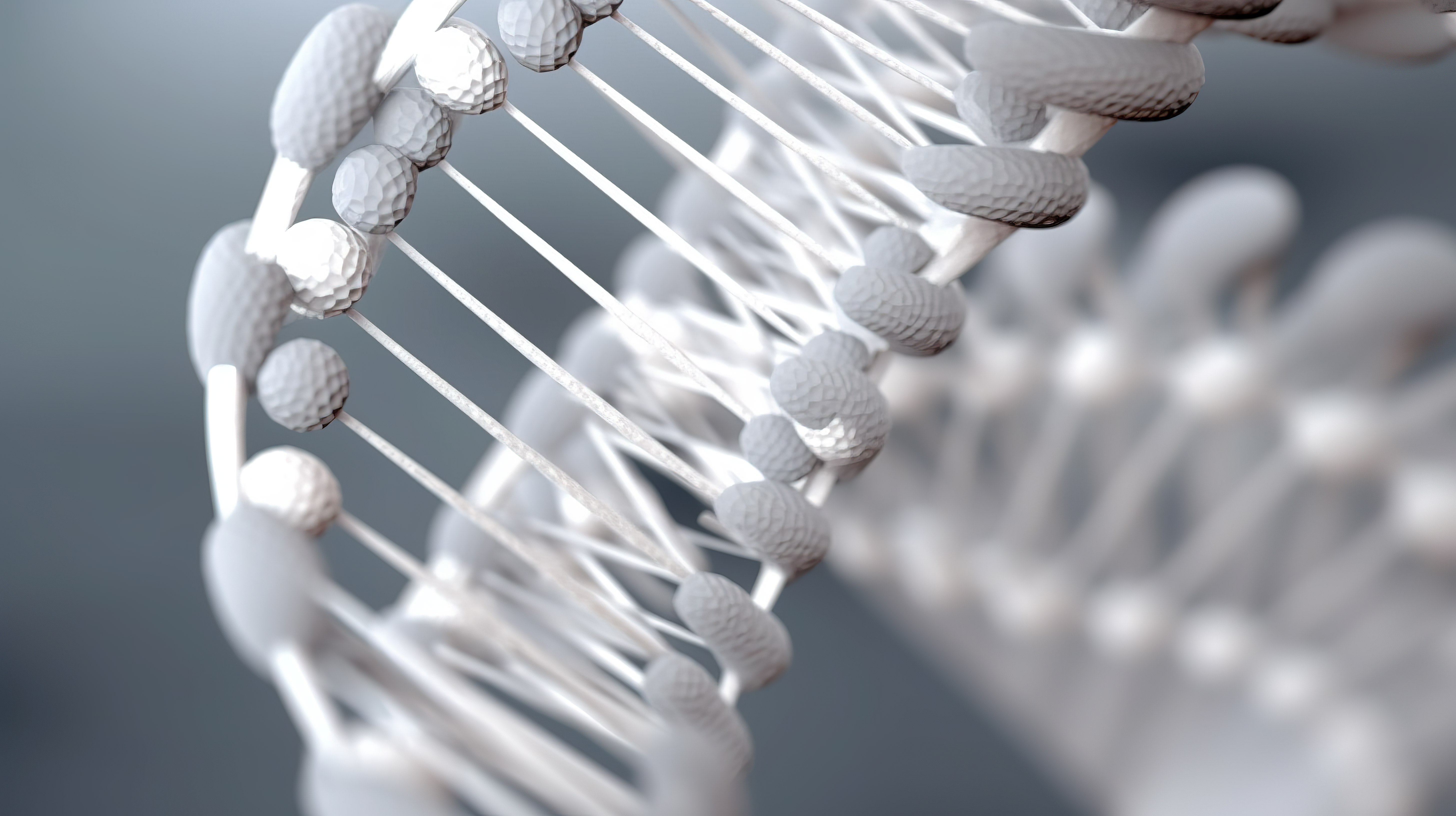 灰色背景与 3D 渲染抽象白色 DNA 结构图片