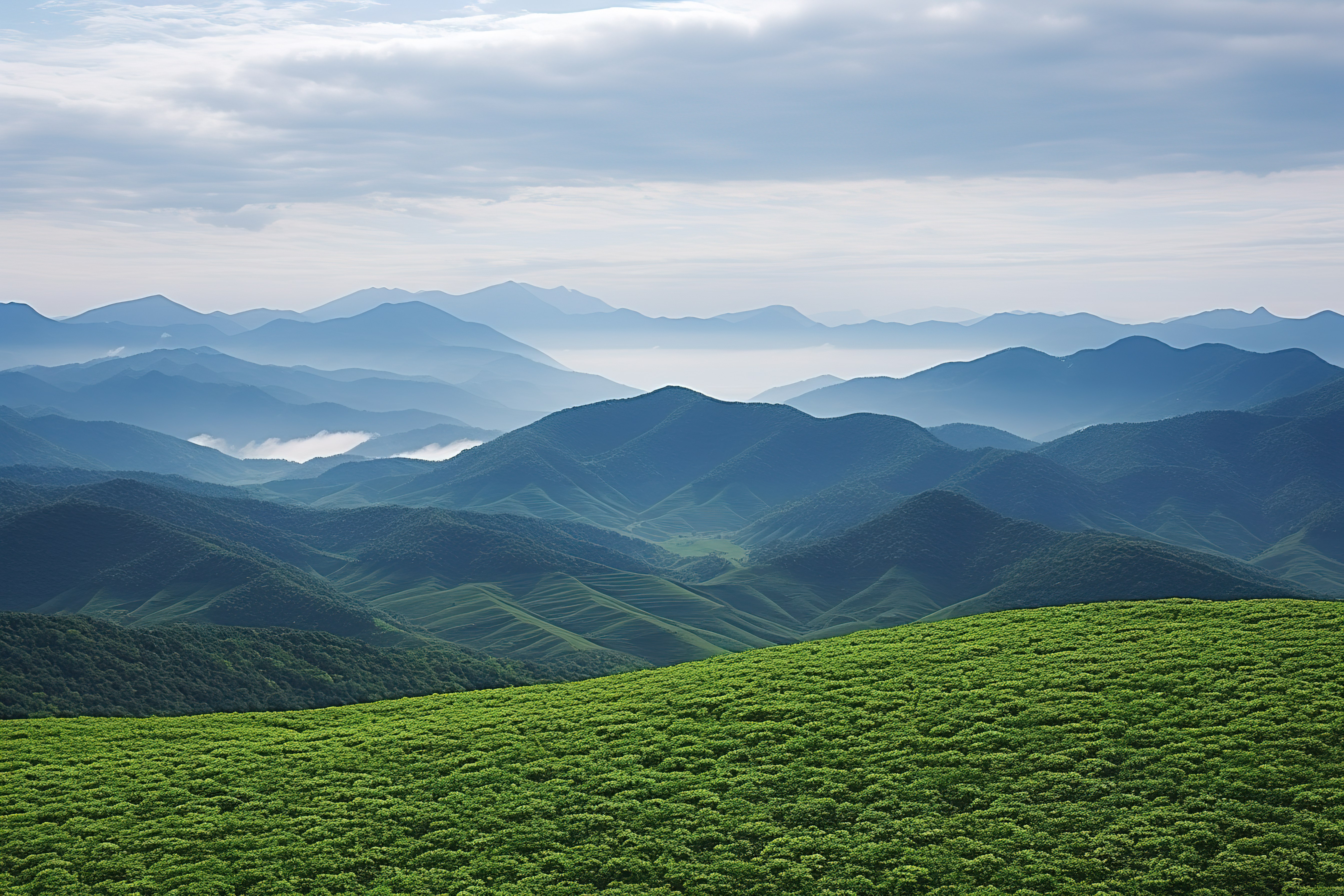 从高山拍摄的照片是被群山包围的大片绿色田野图片