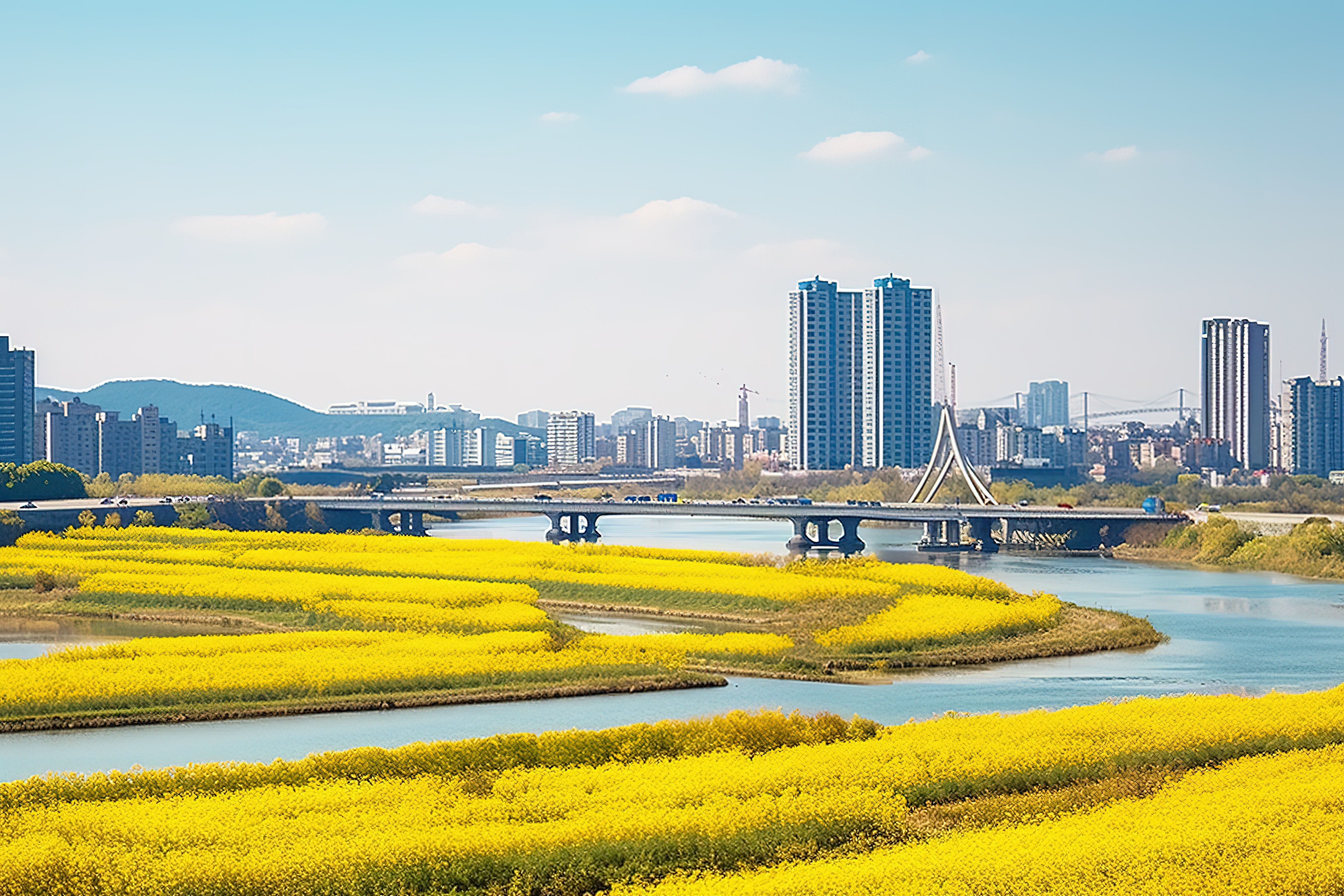 秋天，韩国城市南部有黄田河和一条河图片