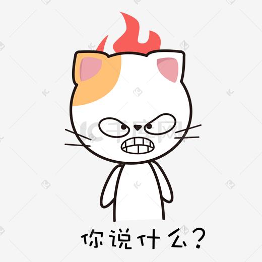 猫咪主题可爱呆萌发怒表情包图片