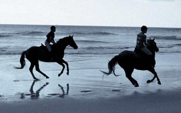 哒哒的马蹄声音效