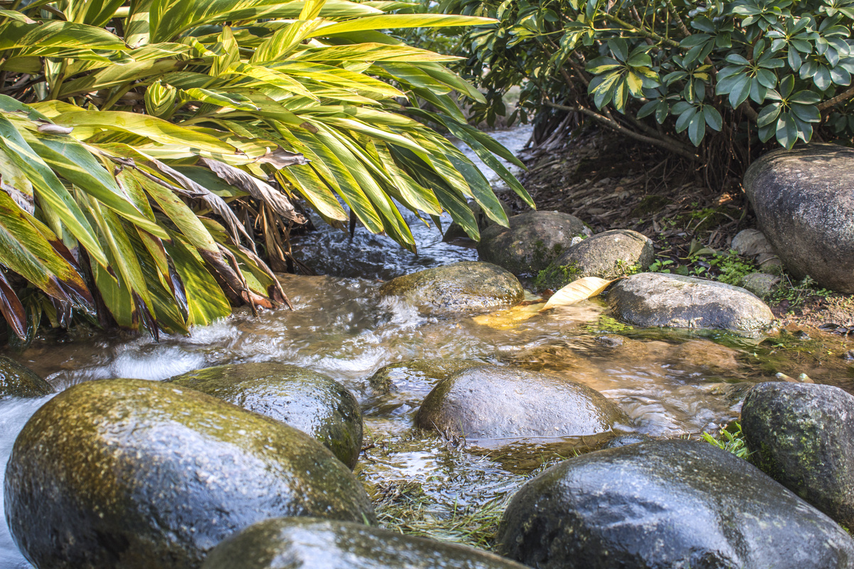 小溪流中石头自然风景摄影图图片